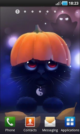 可爱猫咪壁纸_截图3