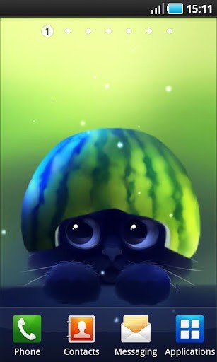 可爱猫咪壁纸_截图2