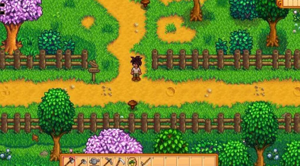 星露谷物语中哪些地方可以发现隐藏的惊喜 星露谷物语中哪些地方可以发现隐藏的惊喜