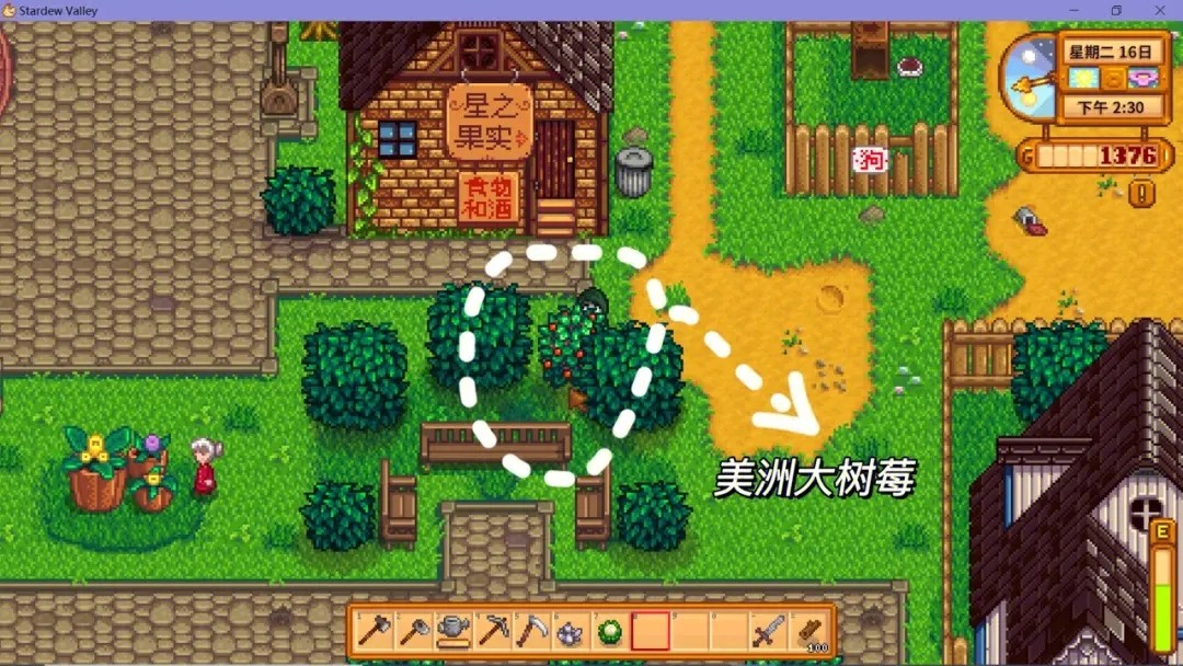 星露谷物语海莉手镯如何选择