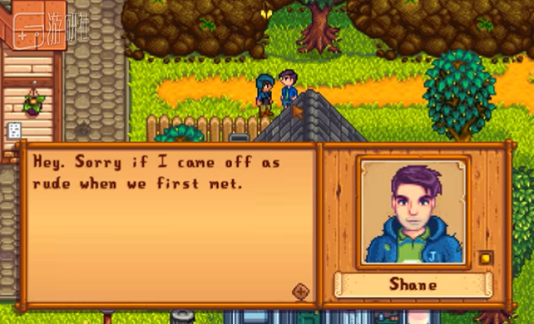 我应该在星露谷物语的哪个位置存放东西