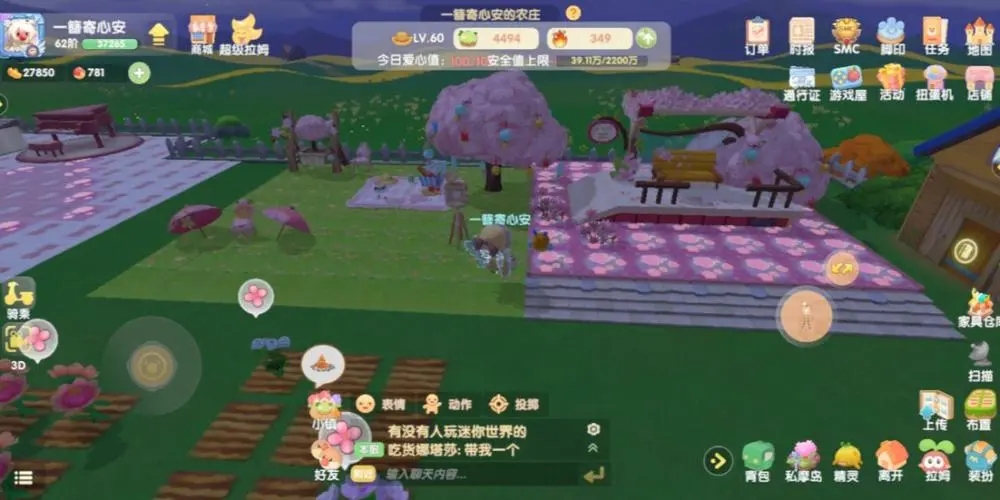 为什么摩尔庄园的宠物需要玩玩具