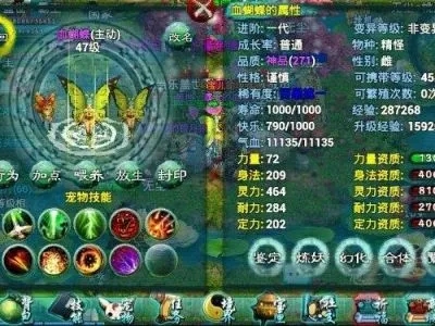 忘仙斗罗玩法中如何获得高级装备