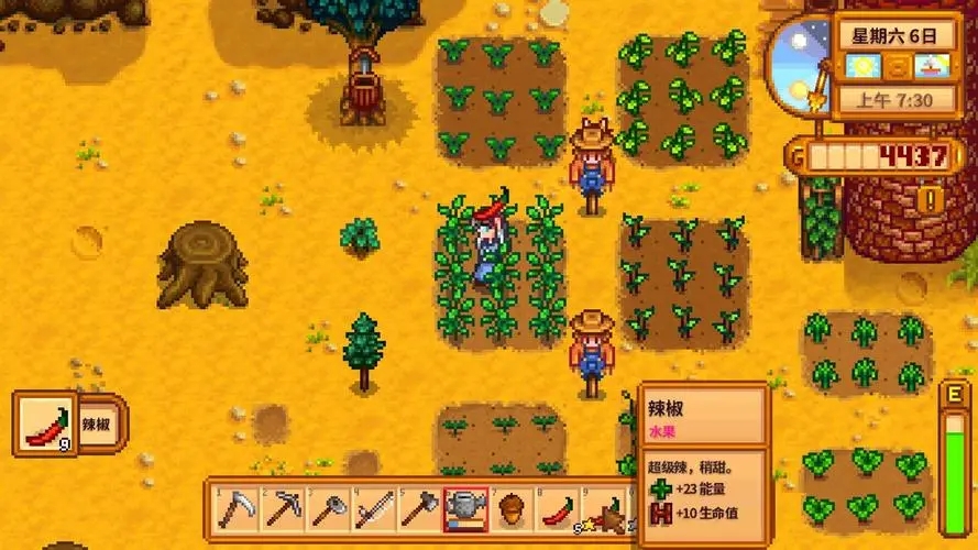 星露谷物语中孩子们的位置在哪 星露谷物语中孩子们的位置在哪