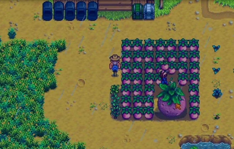 星露谷物语后期如何通过农作物获得更多收益