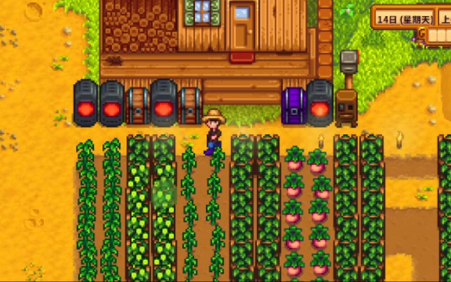 怎样解锁星露谷物语的人物角色