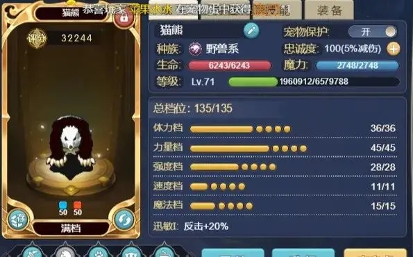 魔力宝贝魔术师技能搭配