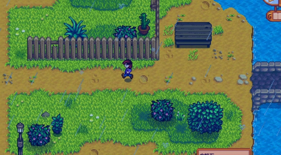 星露谷物语金核桃在哪里得到