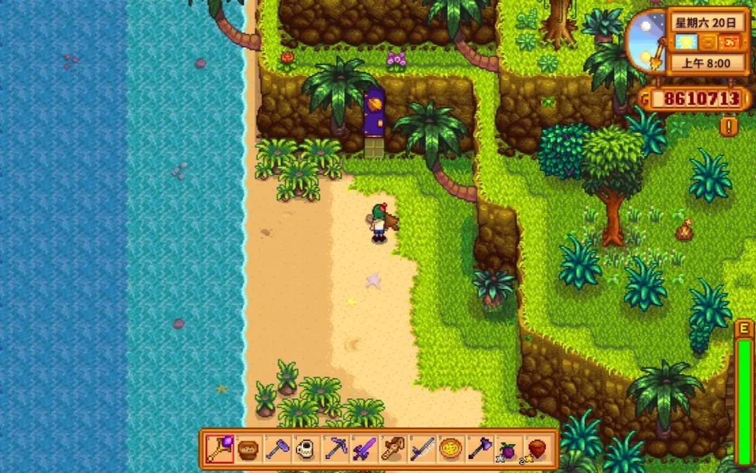 星露谷物语莱纳斯攻略中应该注意哪些事项