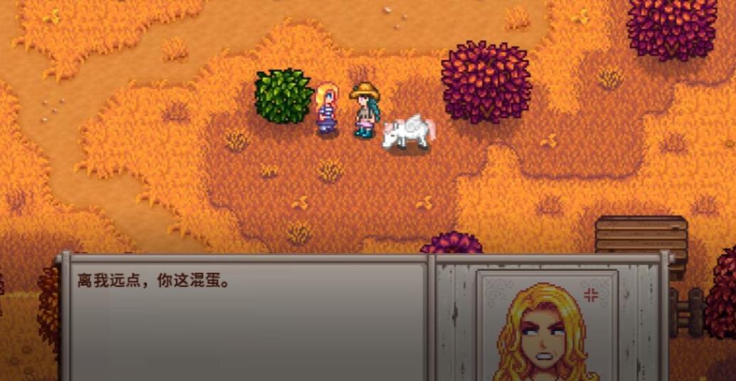 谁是星露谷物语中的完美妻子
