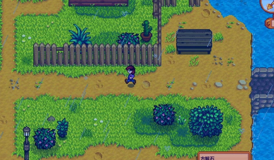 星露谷物语有关海莉暗室剧情的选择有哪些 星露谷物语有关海莉暗室剧情的选择有哪些