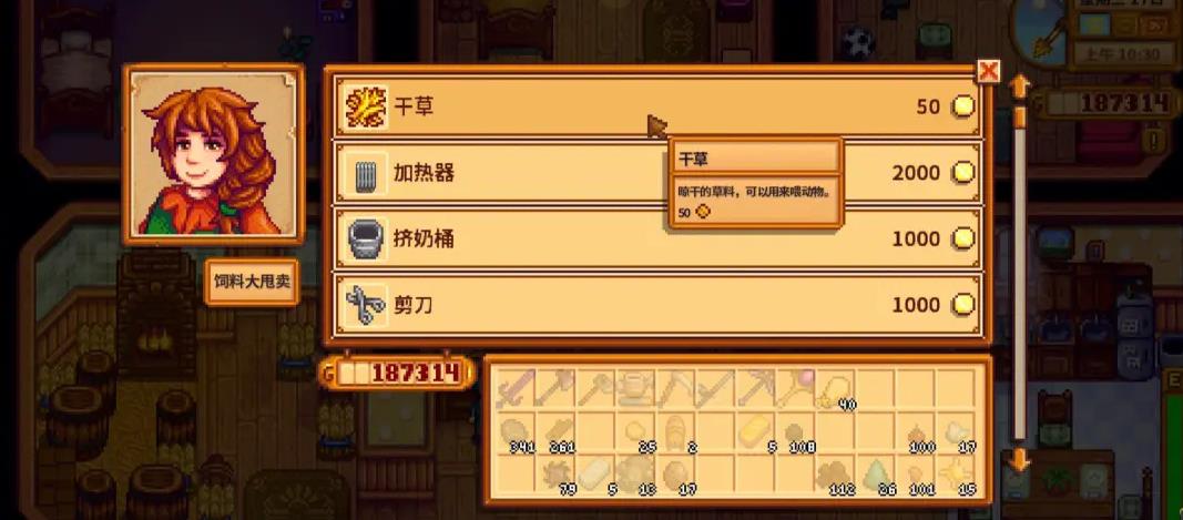 星露谷物语四季游戏中有哪些建议的钓鱼地点