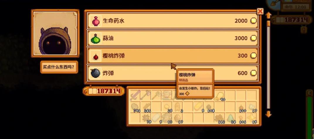 星露谷物语四季游戏中有哪些建议的钓鱼地点