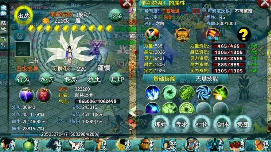 使用忘仙抽取付需要具备什么条件