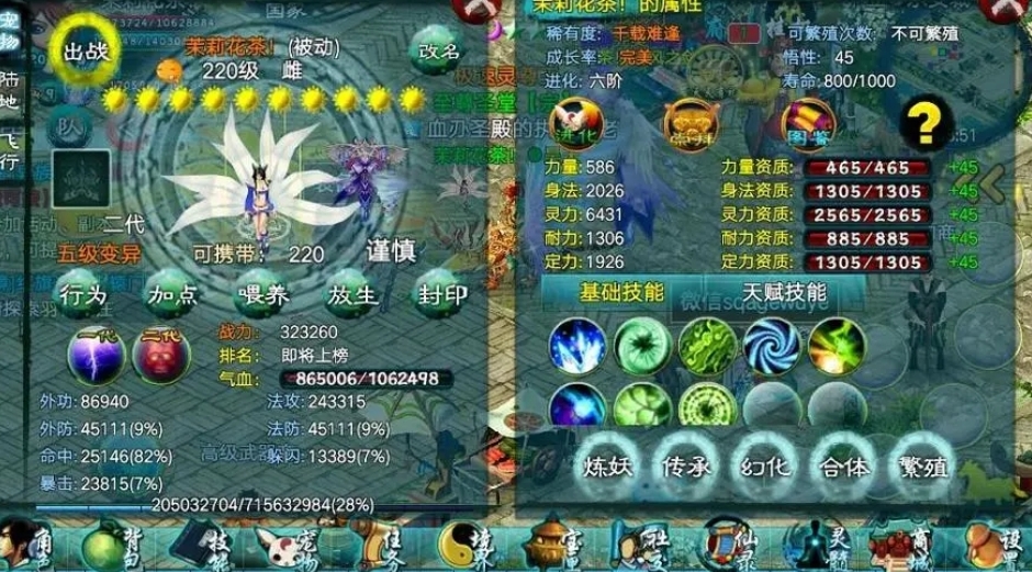 如何购买忘仙洗髓丹并避免购买假货