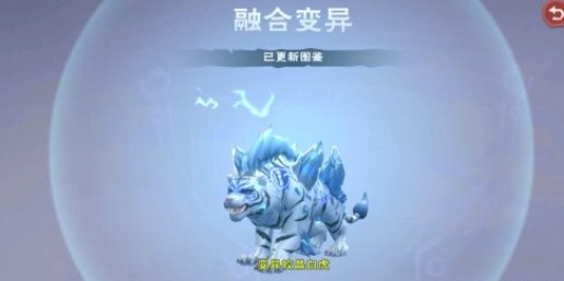 如何在前期尽力减小创造与魔法领主的威胁