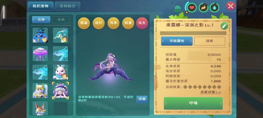 创造与魔法如何判断魔法战斗宠物的能力