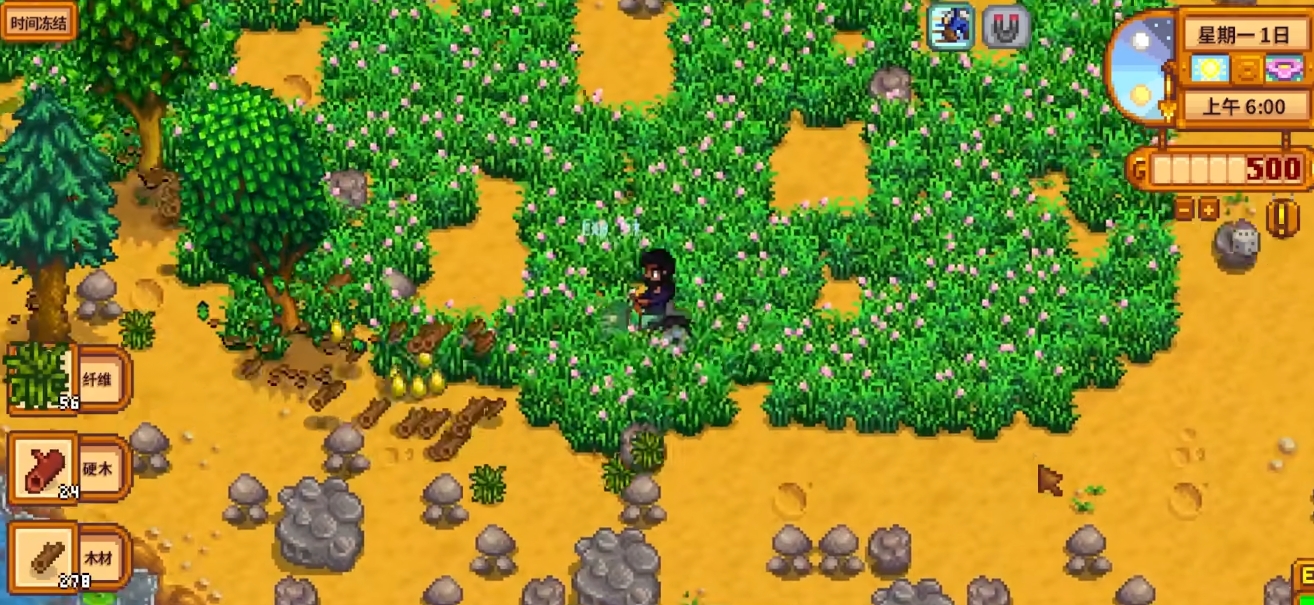 想要与潘妮约会在星露谷物语中有哪些技巧