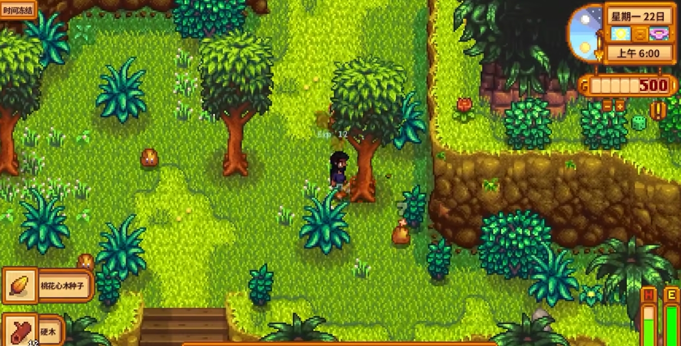 想要与潘妮约会在星露谷物语中有哪些技巧