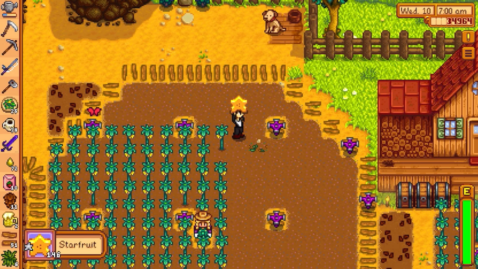 请问星露谷物语游戏里的木材在哪买 请问星露谷物语游戏里的木材在哪买