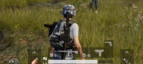 和平精英小乌龟打卡点所在地在哪呢 和平精英小乌龟打卡点所在地在哪呢