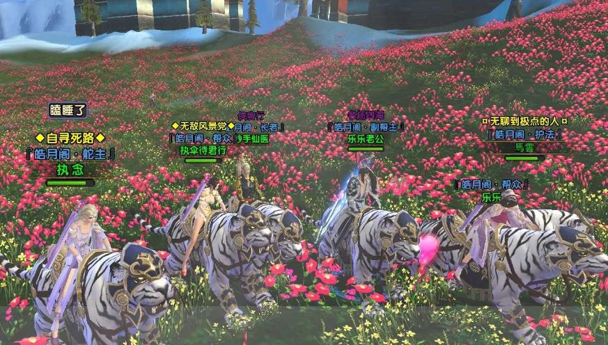 卧虎藏龙贰唐门适宜使用何种坐骑