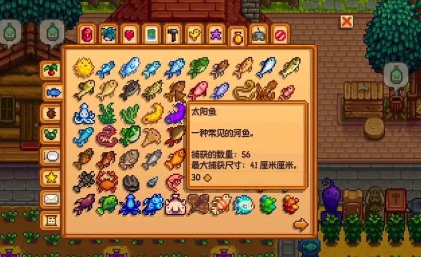 星露谷物语海莉暗室应该如何选择 星露谷物语海莉暗室应该如何选择