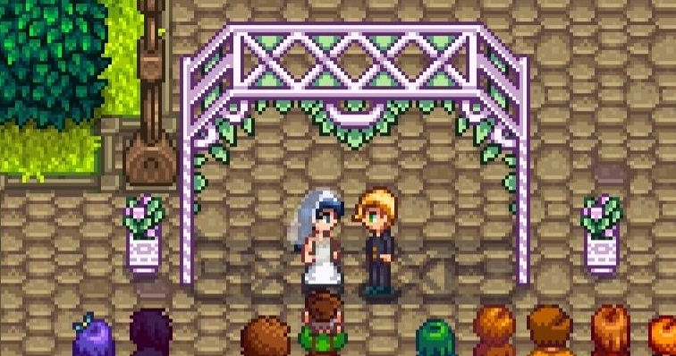 星露谷物语可以尝试一夫多妻模式吗