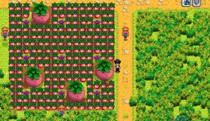 星露谷物语火车经过时应该去哪里拾掇物品