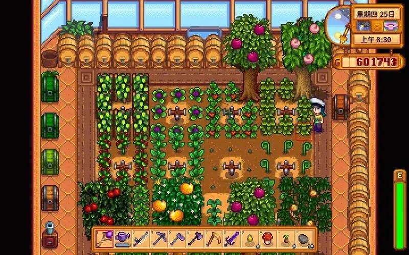 星露谷物语中火车是否会丢失东西