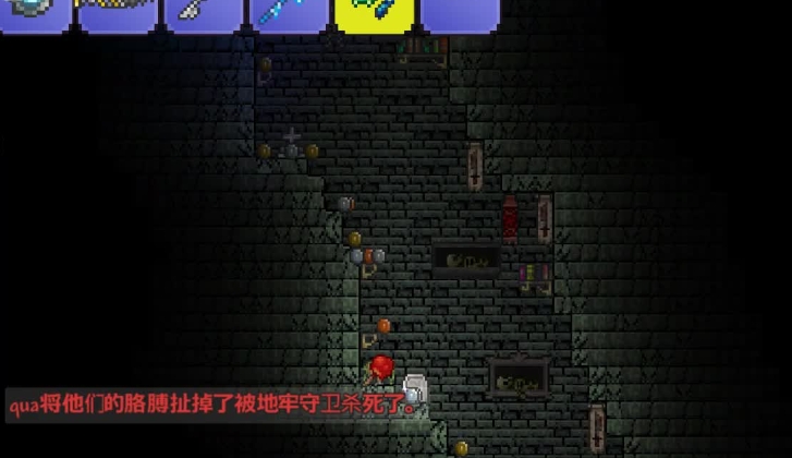 怎样的装备和武器能击败泰拉瑞亚中的海盗