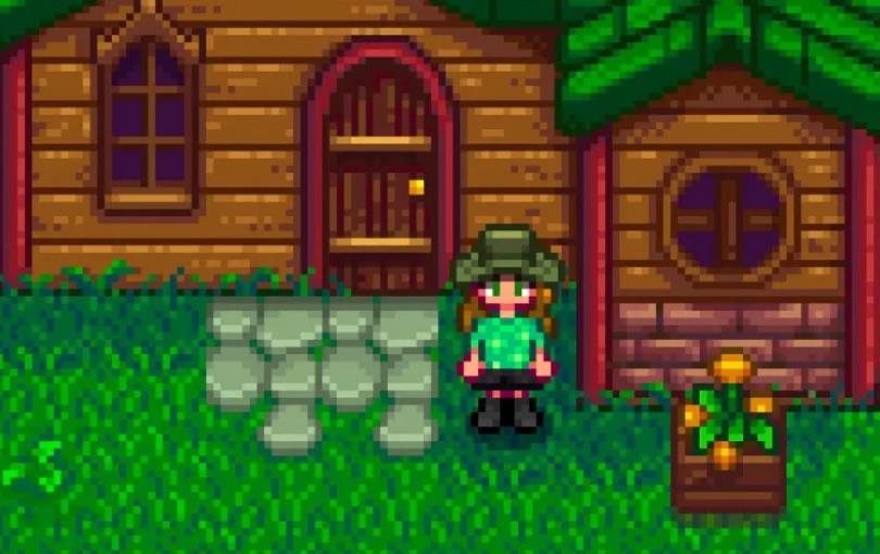 星露谷物语种植什么水果最赚钱 星露谷物语种植什么水果最赚钱