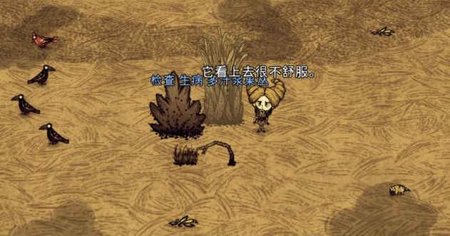 饥荒地下入口可能在哪个生物群