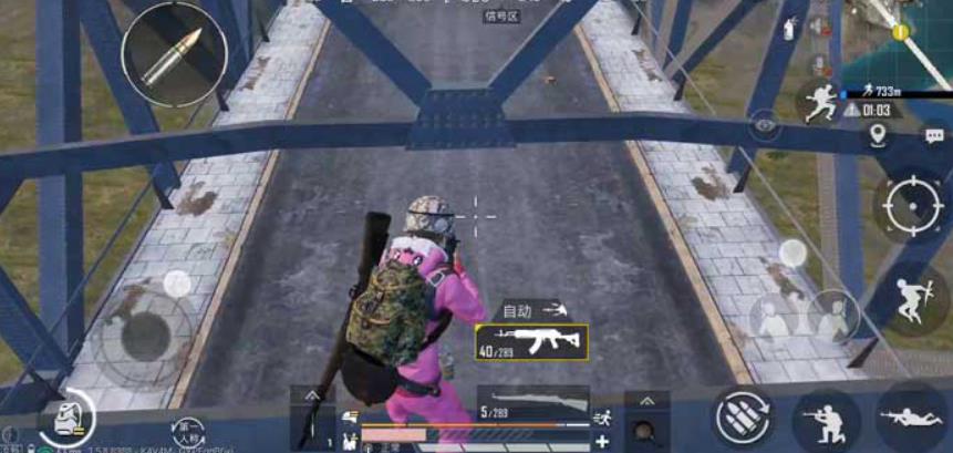 和平精英物资币的用途有哪些