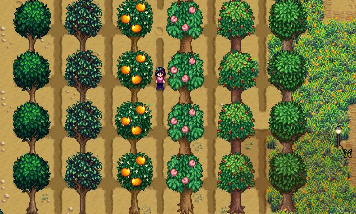 星露谷物语中结婚后有什么变化 星露谷物语中结婚后有什么变化