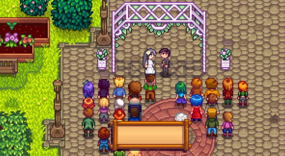 获取星露谷物语自动抚摩器的方法有哪些 获取星露谷物语自动抚摩器的方法有哪些