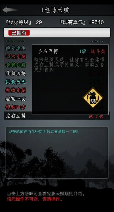放置江湖转生加点有什么高效的方式
