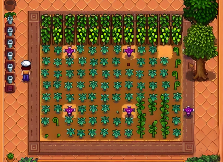 星露谷物语触发海莉剧情需要满足哪些条件