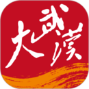 大武汉下载_大武汉最新版下载