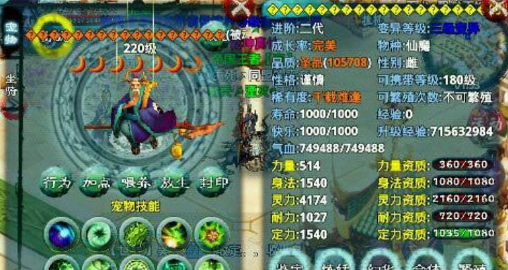 忘仙仙林活动是否提供导游服务