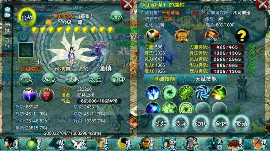 忘仙服装是否可以将5件合并扩展至20个