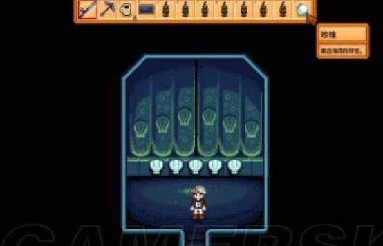 星露谷物语谢恩婚后生活中是否有新的梦想