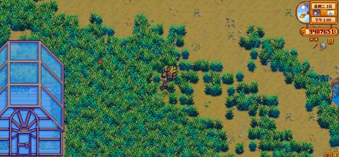 星露谷物语中的冬根出现在哪里 星露谷物语中的冬根出现在哪里