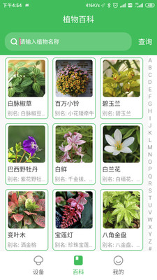 森林甜心_截图3
