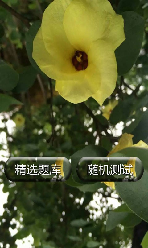 内科护理学试题及答案_截图2
