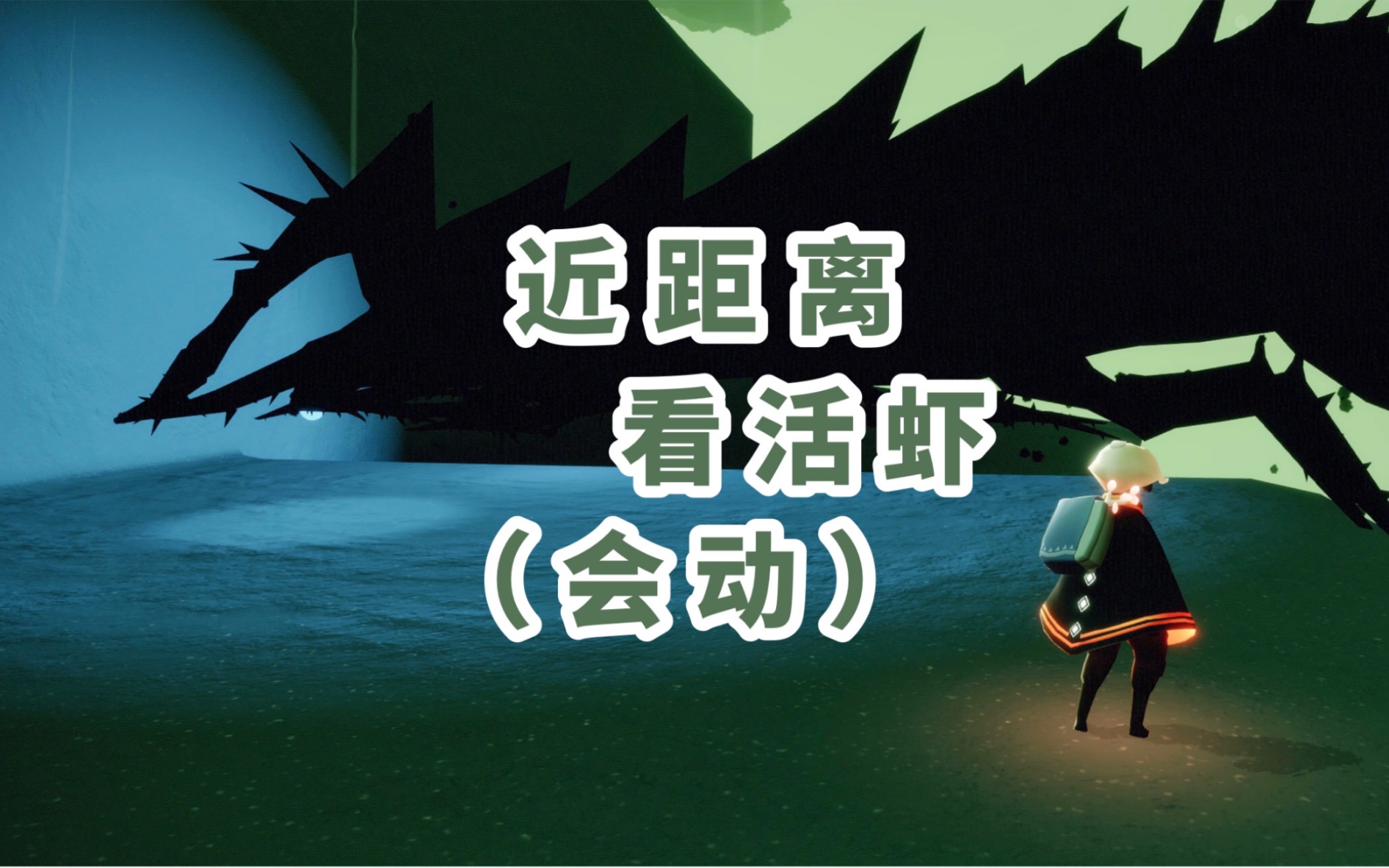 我应该怎么避开皮皮虾的目光