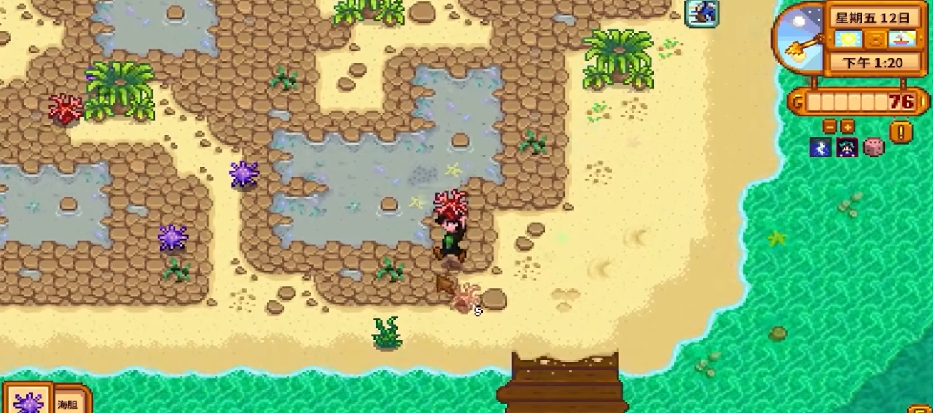 星露谷物语中的海莉家在哪个村庄