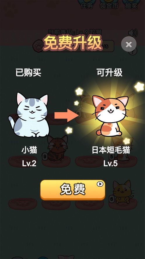 天天撸猫_截图1