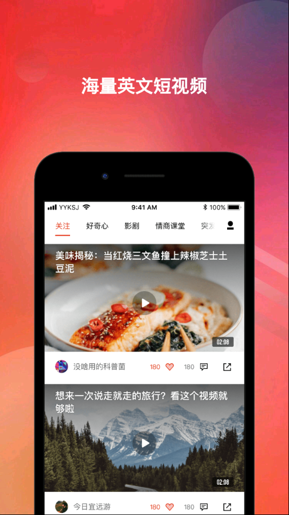 海鸥看世界