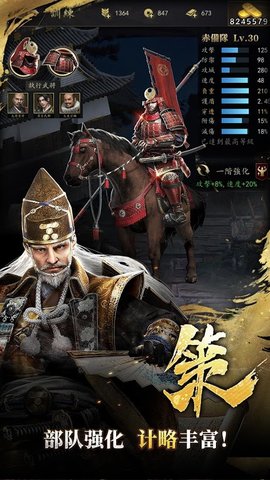 霸王之野望